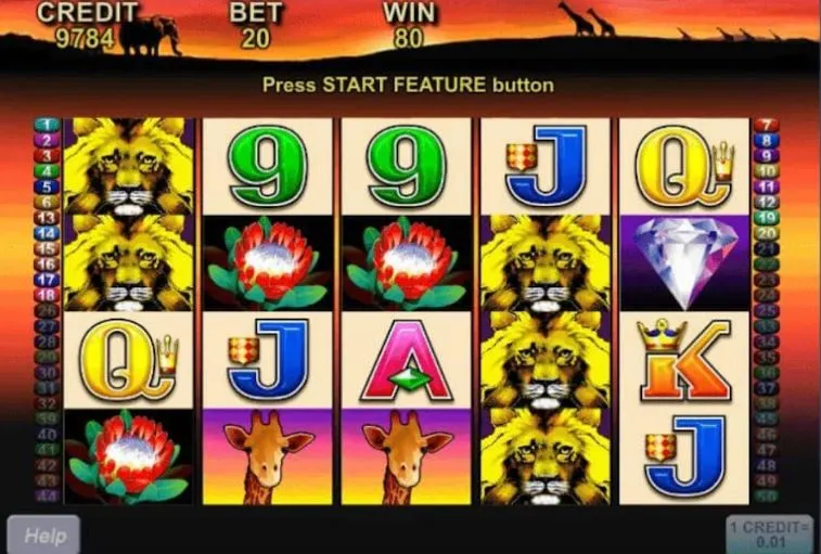 50 lions tablero